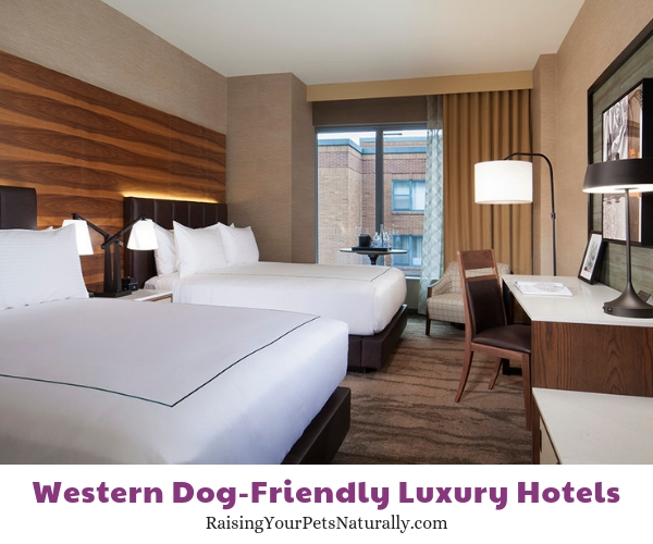 5 star pet friendly accommodations in Oregon 