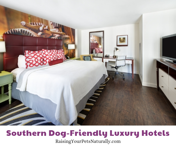 Best pet-friendly hotels in Tennessee 