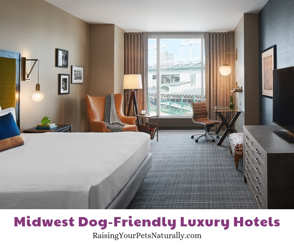 Five star pet friendly hotels in the midwest
