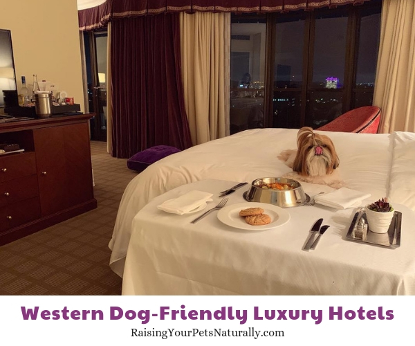 Beverly Hills pet friendly resorts