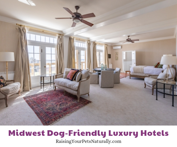 Best luxury hotels in Michigan that are dog-friendly