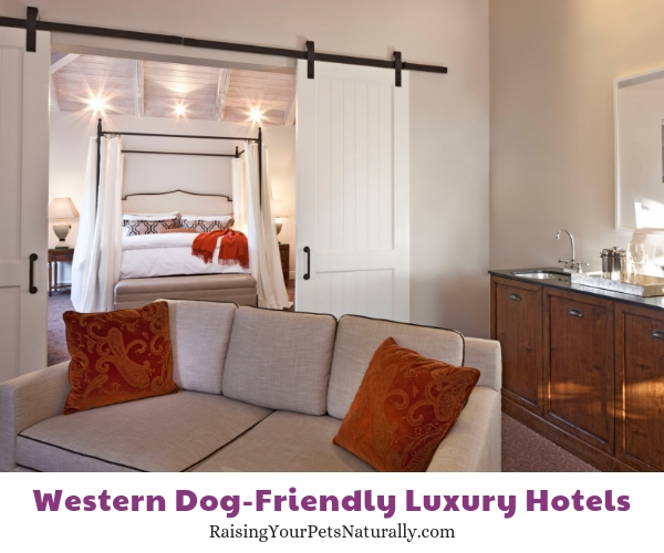 Best pet friendly hotels in California 