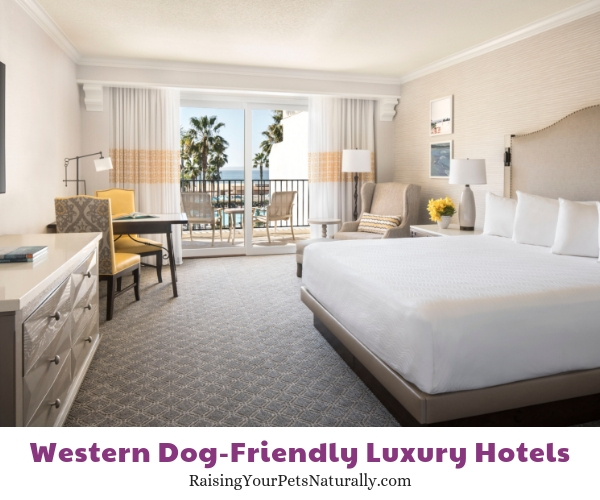 California luxury hotels that allow pets