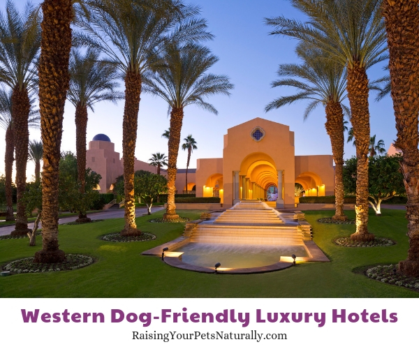 Rancho California dog friendly resorts