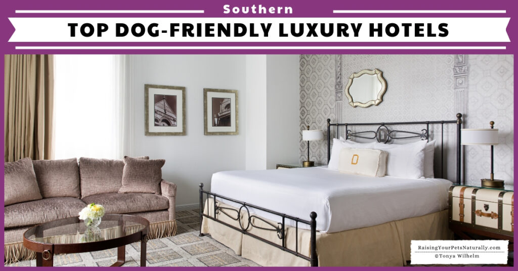 Southern dog-friendly luxury hotels