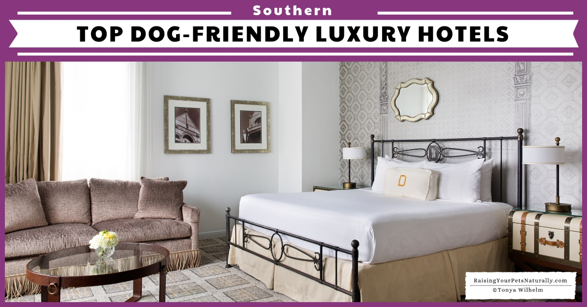 The Most Pet-Friendly Hotel in Every Southern State