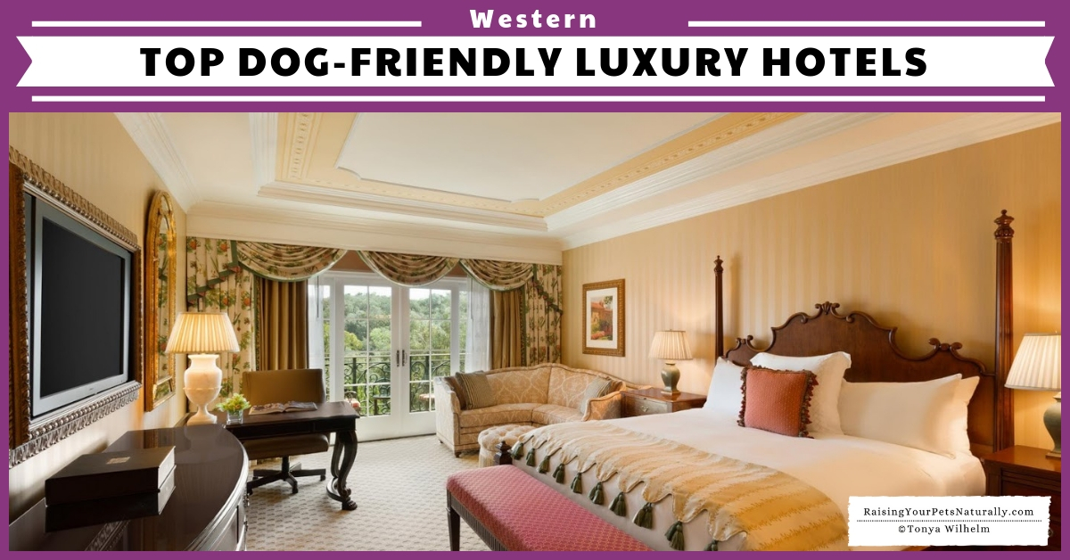 Dog-friendly hotels in the western us