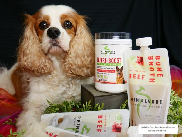 Dog supplements for joint care