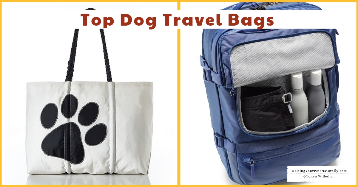 Dog backpack and travel organizers