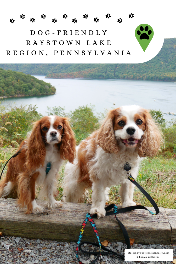 Dog-Friendly Travel Guide for Raystown Lake Region | Dog-Friendly Cottages and Resorts in Pennsylvania