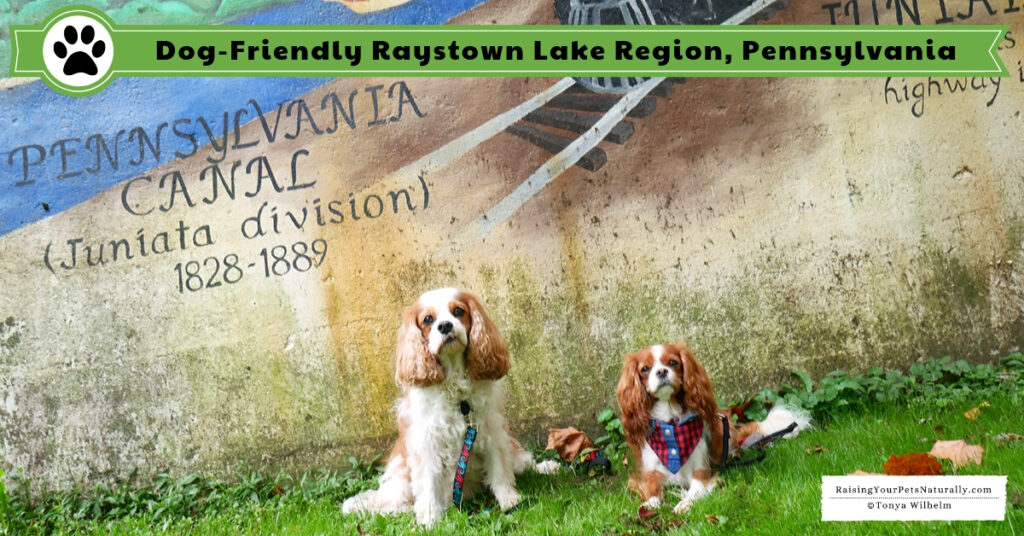 Dog-friendly vacations in Pennsylvania