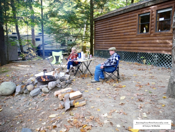 Pet friendly campgrounds