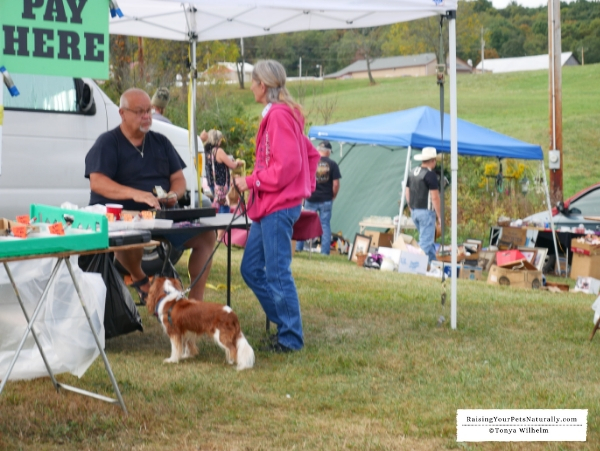 Dog friendly fall events