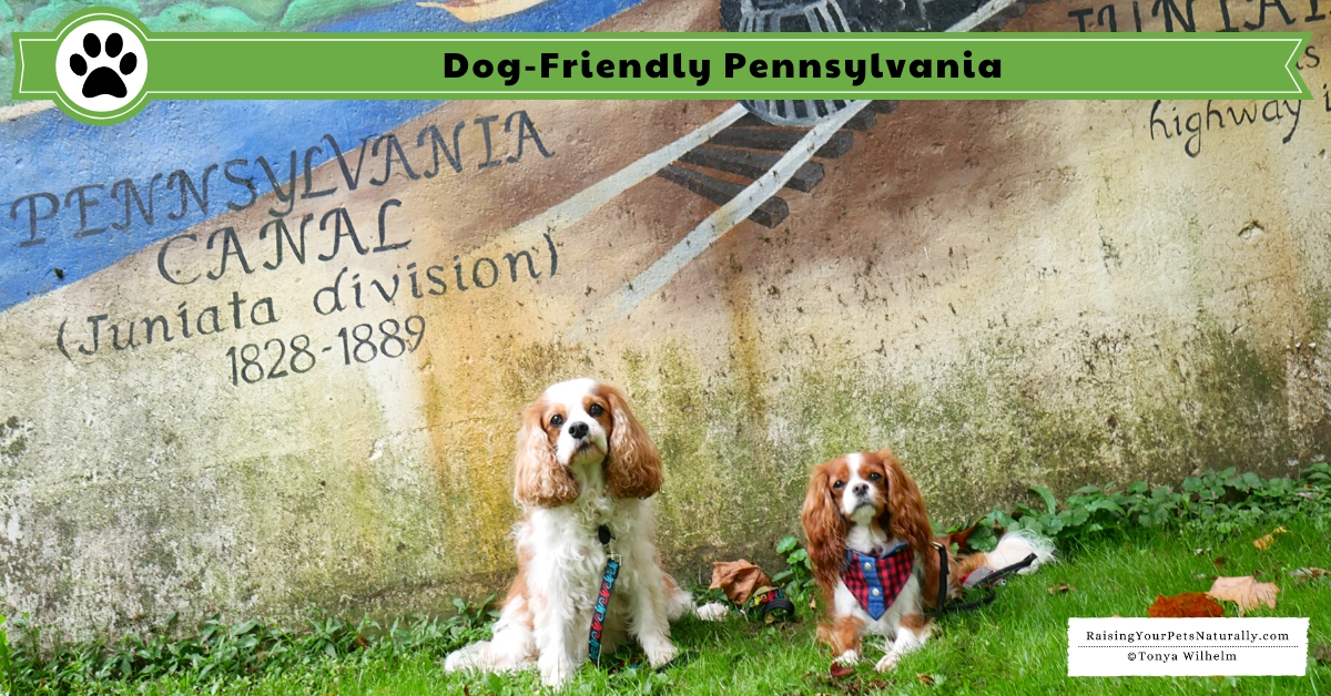 Pet-friendly Pennsylvania 