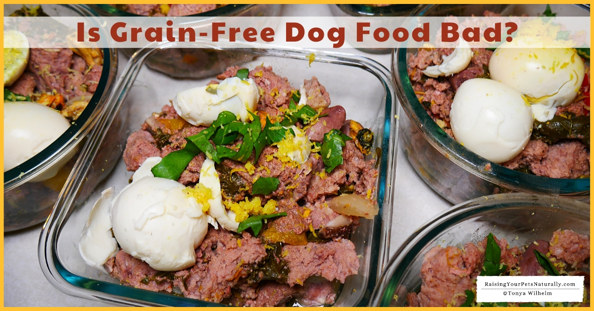 Best grain free dog foods