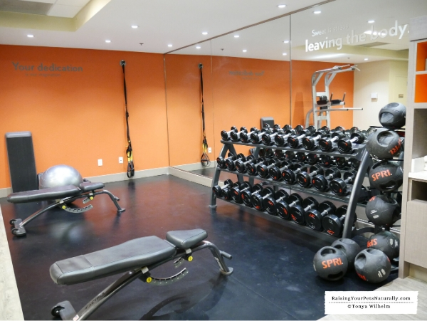 Hotels with a wellness gym