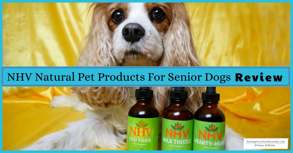 Best supplements for old dogs