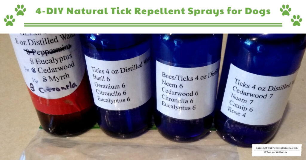Natural tick spray recipe