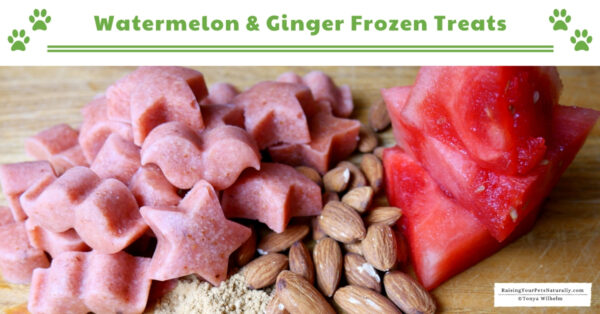 Watermelon dog treat recipes