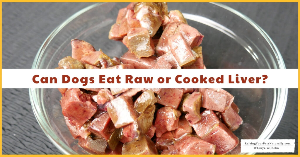 Can dogs have raw liver