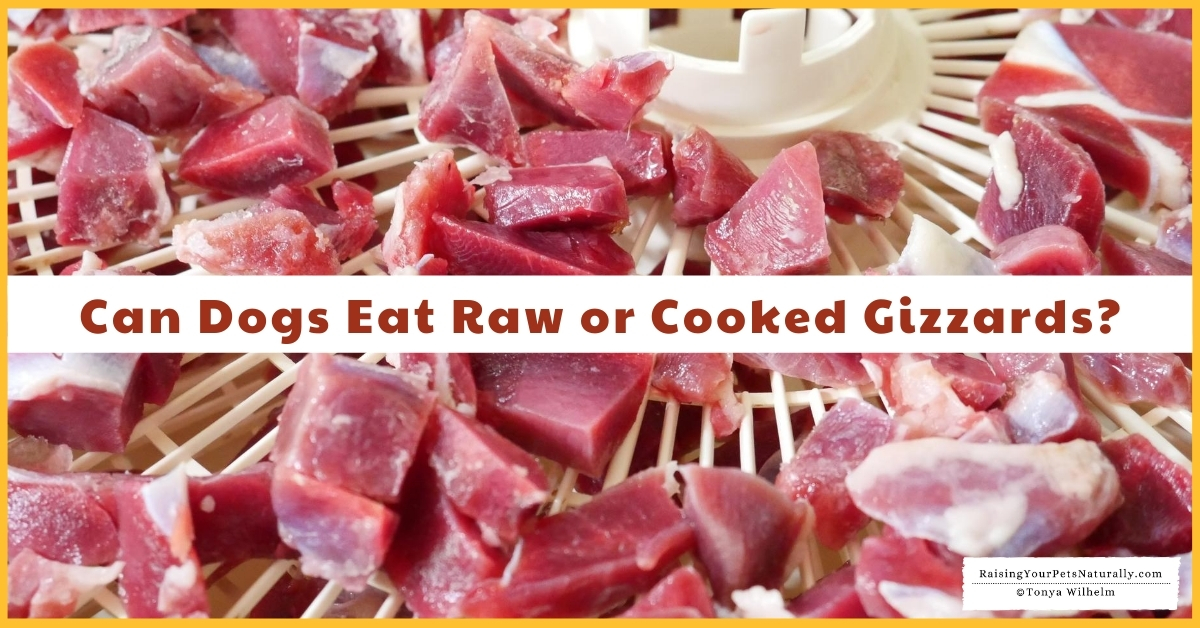 Raw gizzards for dogs