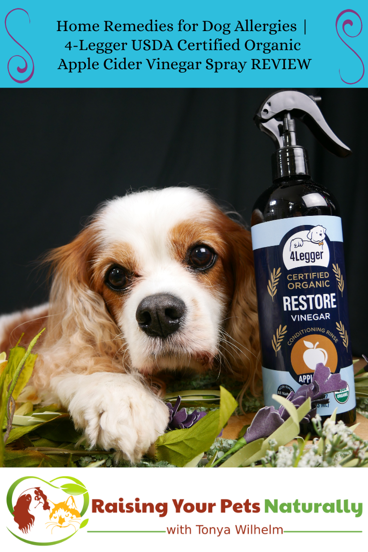 Home Remedies for Dog Allergies | 4-Legger USDA Certified Organic Apple Cider Vinegar Spray (Early access for our Patreon community)