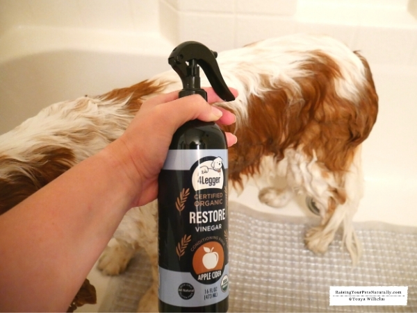 At home allergy treatment for dogs
