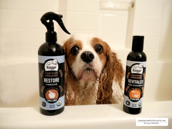 Best organic dog shampoo