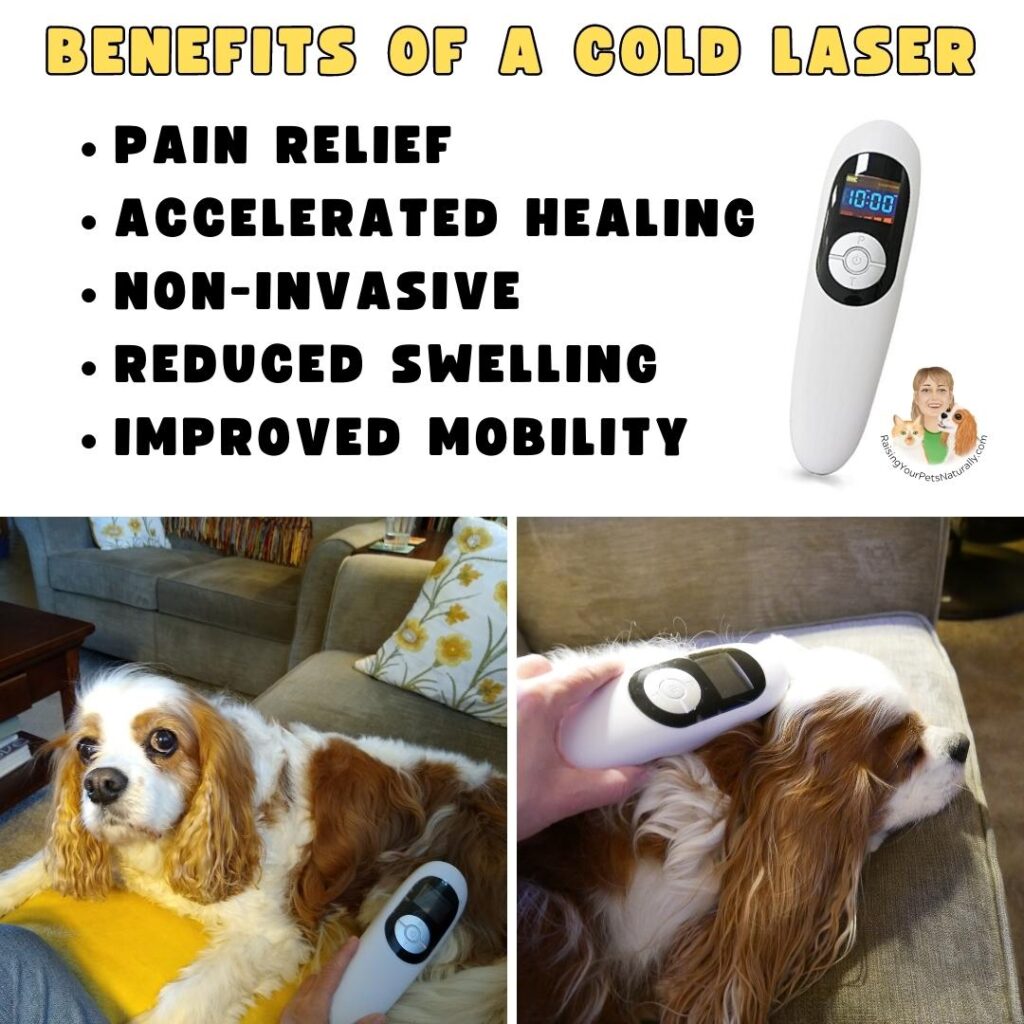 Order a cold laser today!