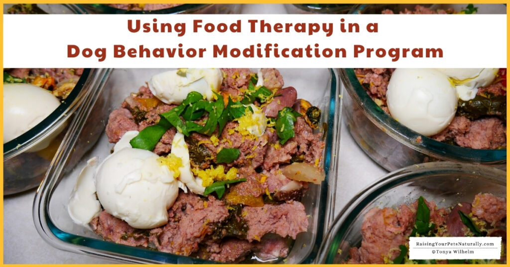 TCM food therapy and behavior