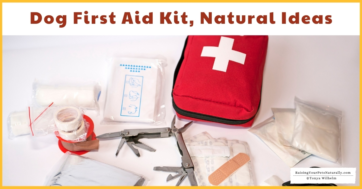 Natural dog first aid kits