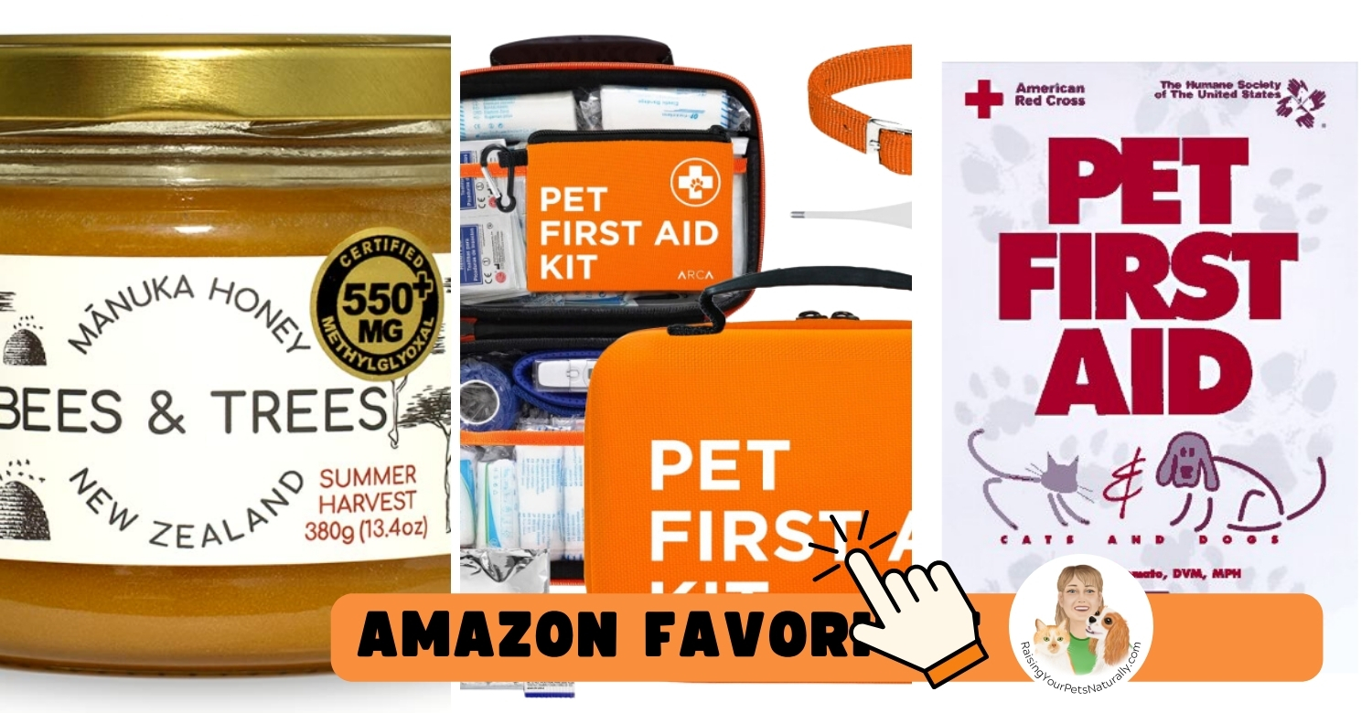 Pet first aid kits