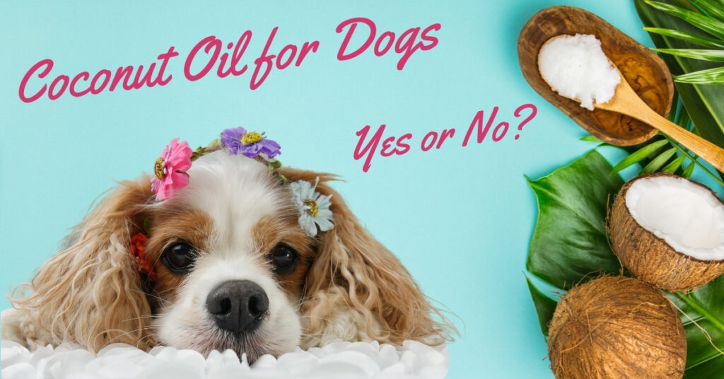 Is coconut oil safe for dogs