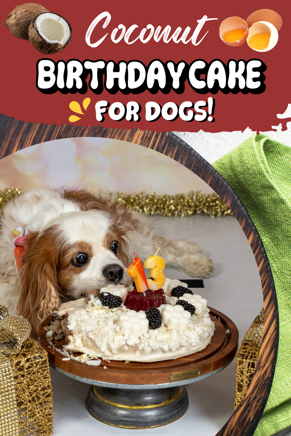Dexter\'s 13th Homemade Dog Birthday Cake Recipe (Early access for our Patreon community)