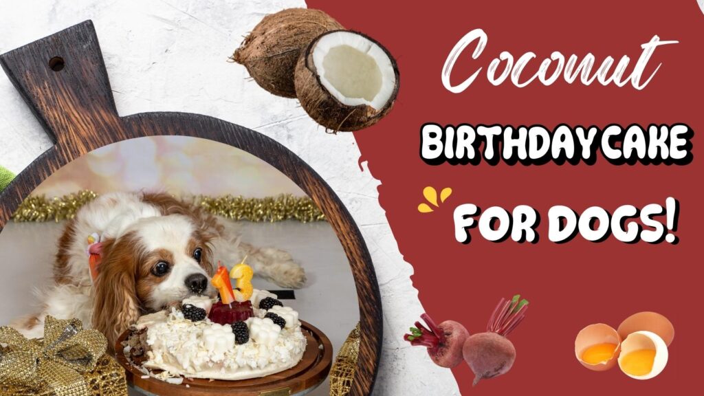 Dog coconut cake recipe
