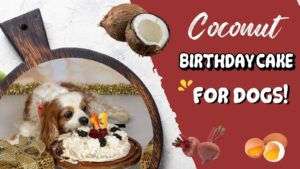 Dexter’s 13th Homemade Dog Birthday Cake Recipe (Early access for our Patreon community)