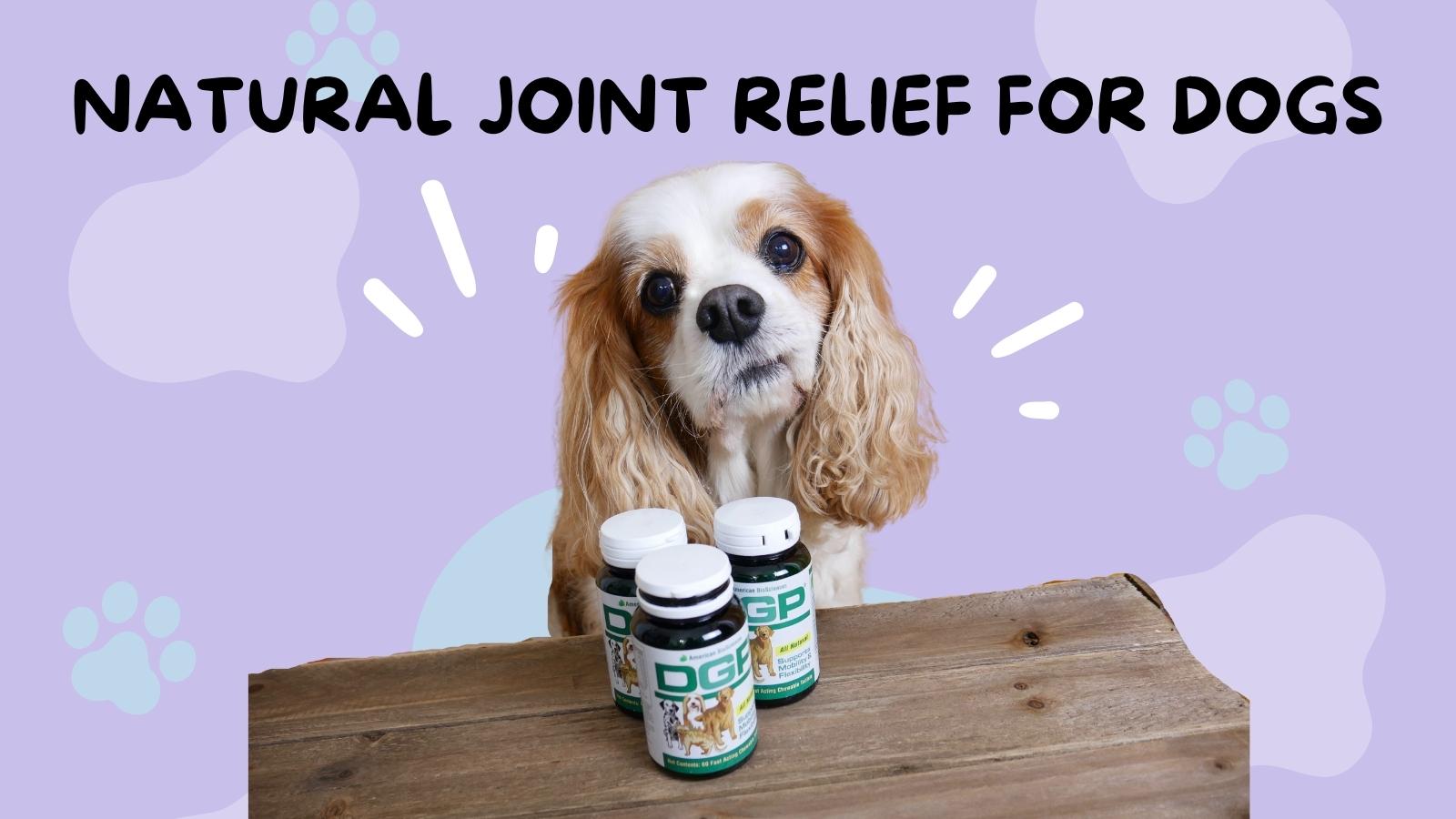 Natural medicine for dogs