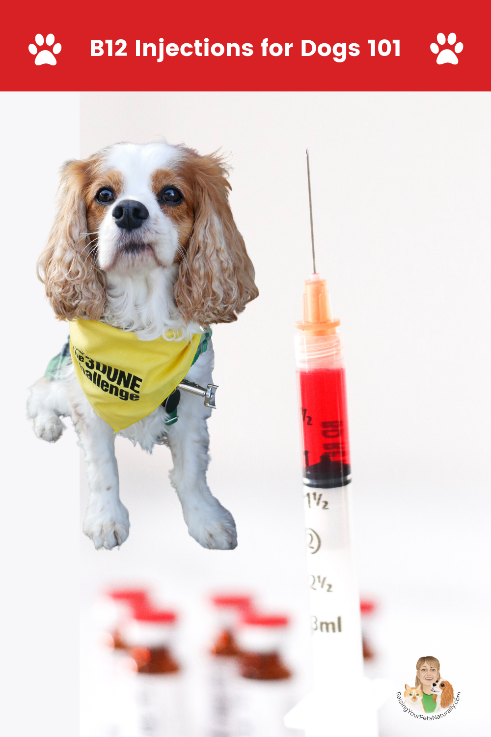 Vitamin B12 Injection Benefits for Dogs | What Does B12 Injection do for Dogs? (Early access for our Patreon community)