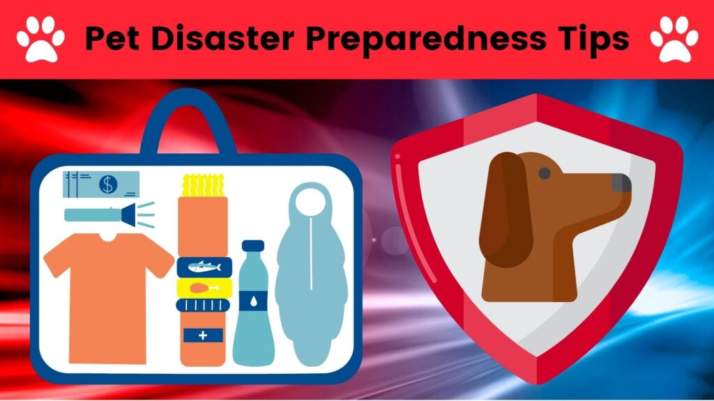 Pet Disaster Preparedness Tips. and Pet Disaster Preparedness Kit and Supply List. #raisingyourpetsnaturally