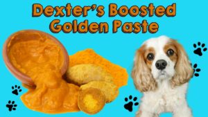 Vet Recommended Turmeric for Dogs | Dexter’s Boosted Golden Paste for Dogs Recipe (Early access for our Patreon community)