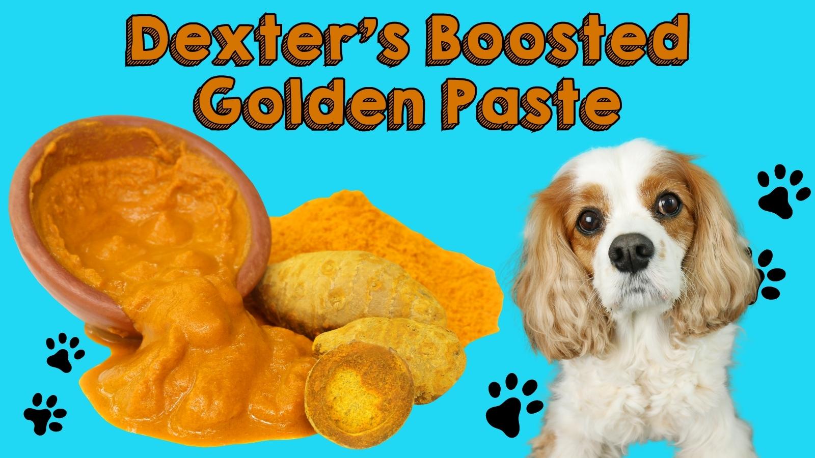 Turmeric Paste for Dogs