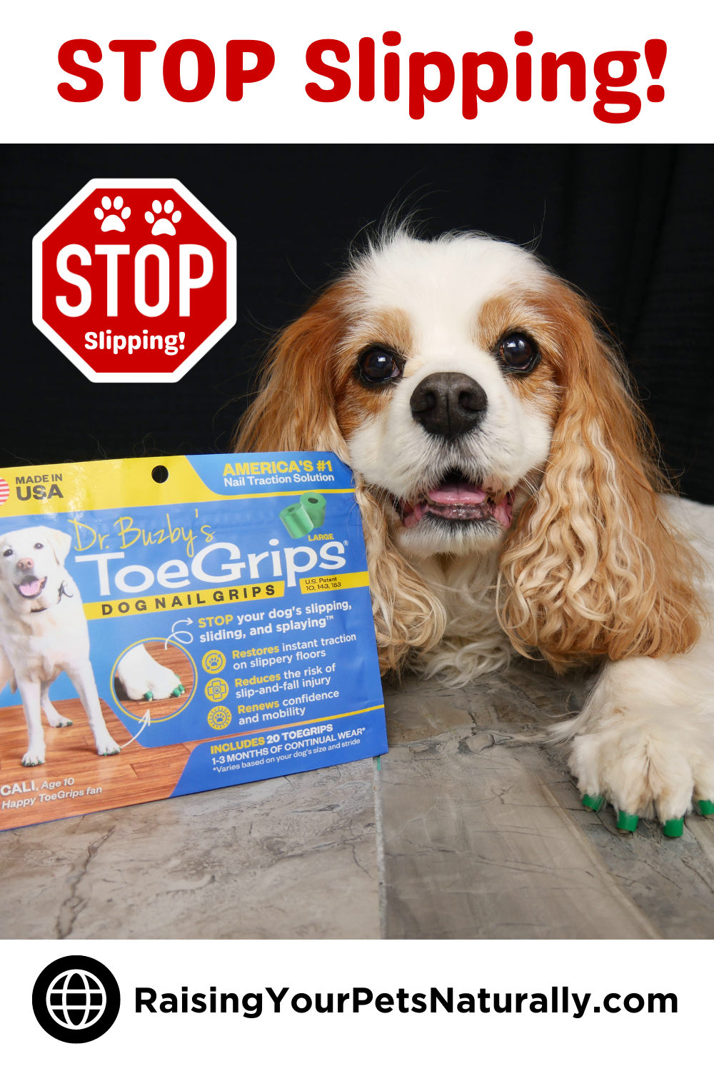 Dr. Buzby\'s ToeGrips for Dogs | The Traction Solution for Senior, Special Needs Dogs and Traction During Medical Recovery (Early access for our Patreon community)
