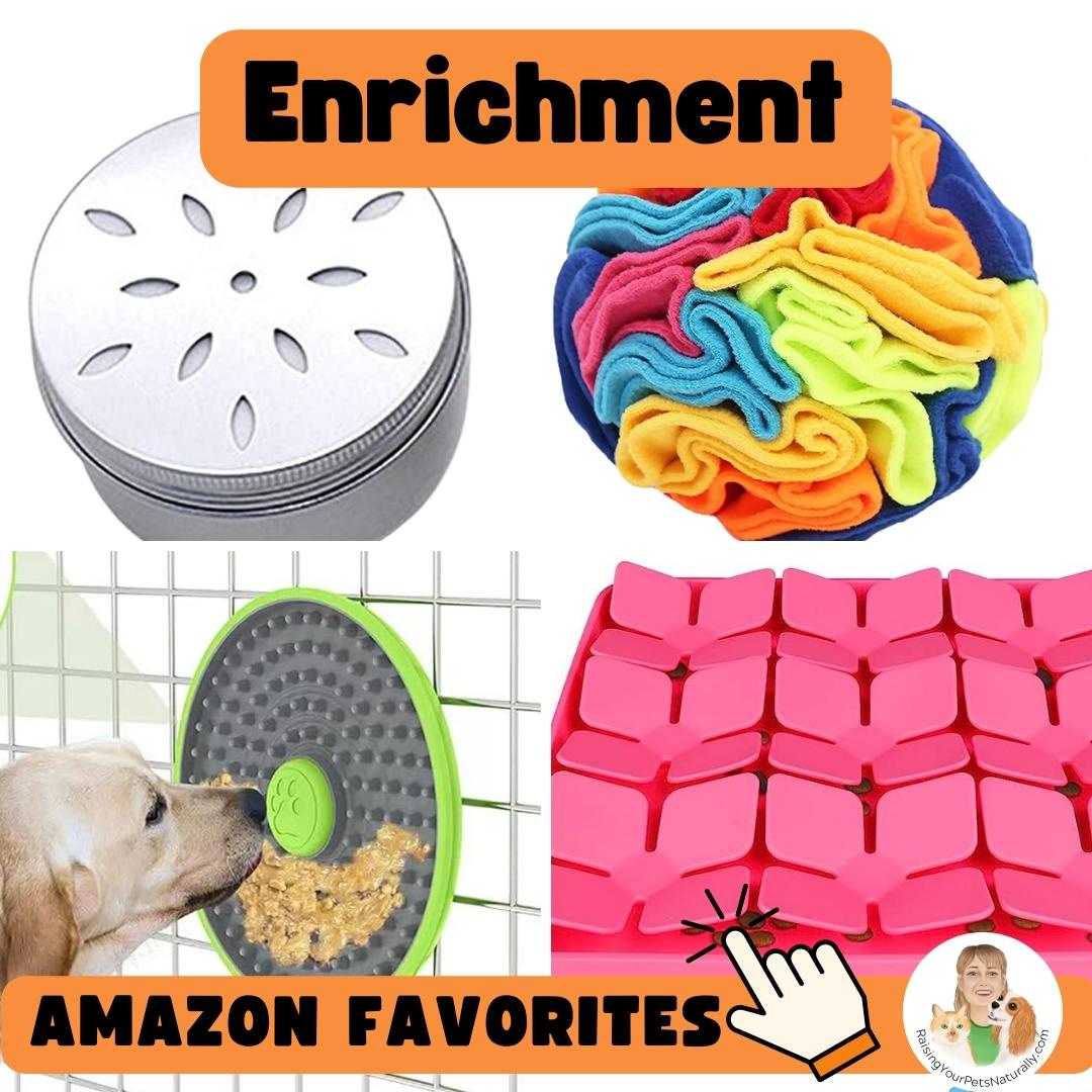 Enrichment for blind dogs