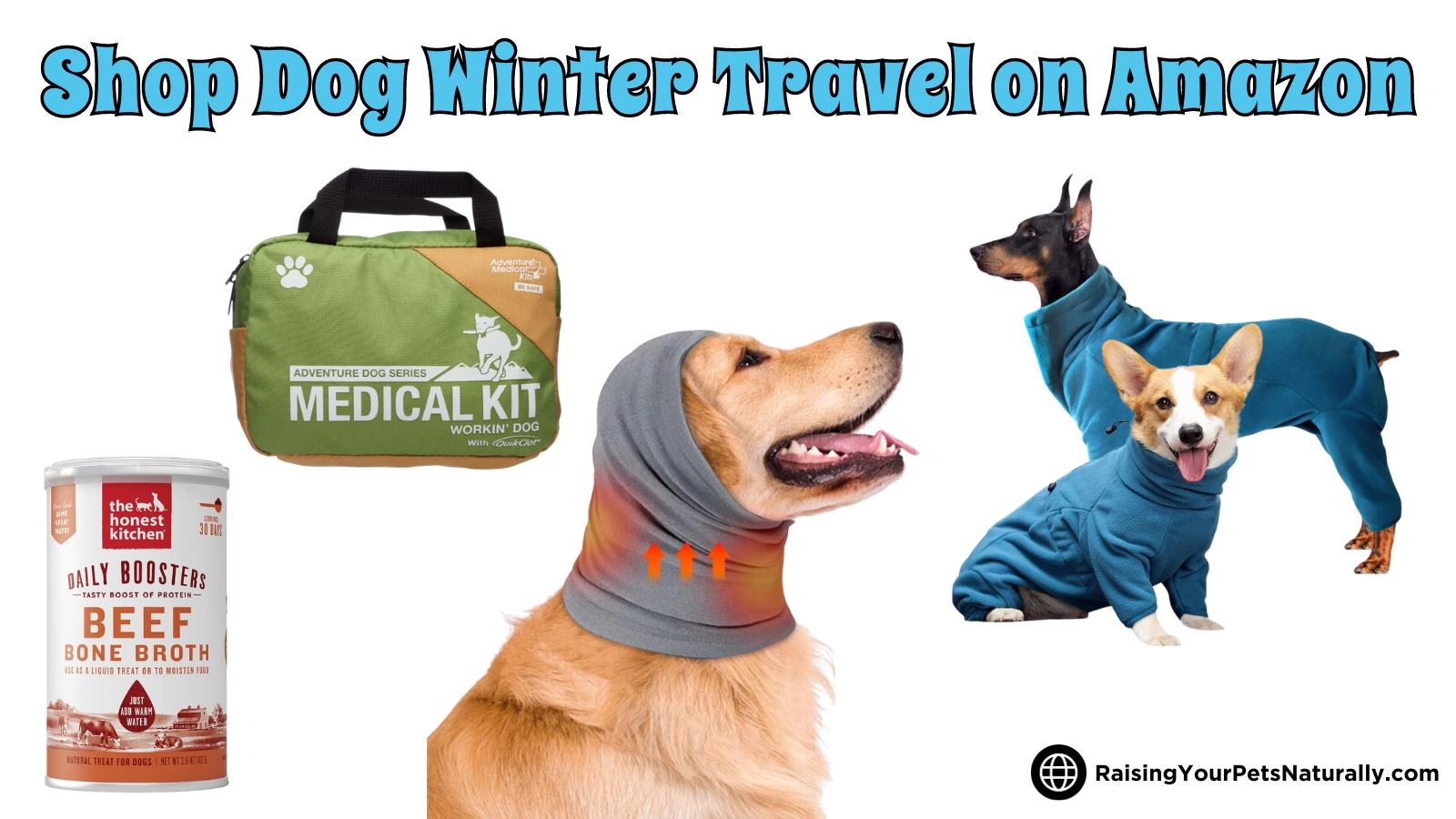 Winter travel gear for dogs.