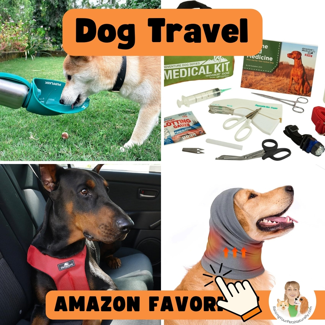 Dog travel essentials. 