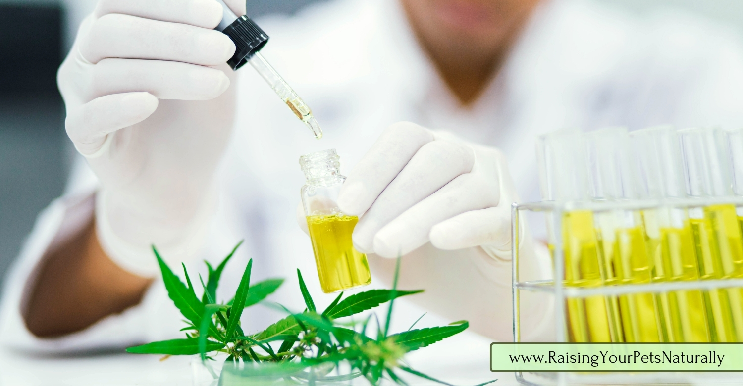 CBD oil third party tested