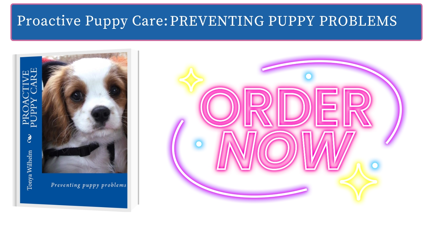 Positive puppy training book