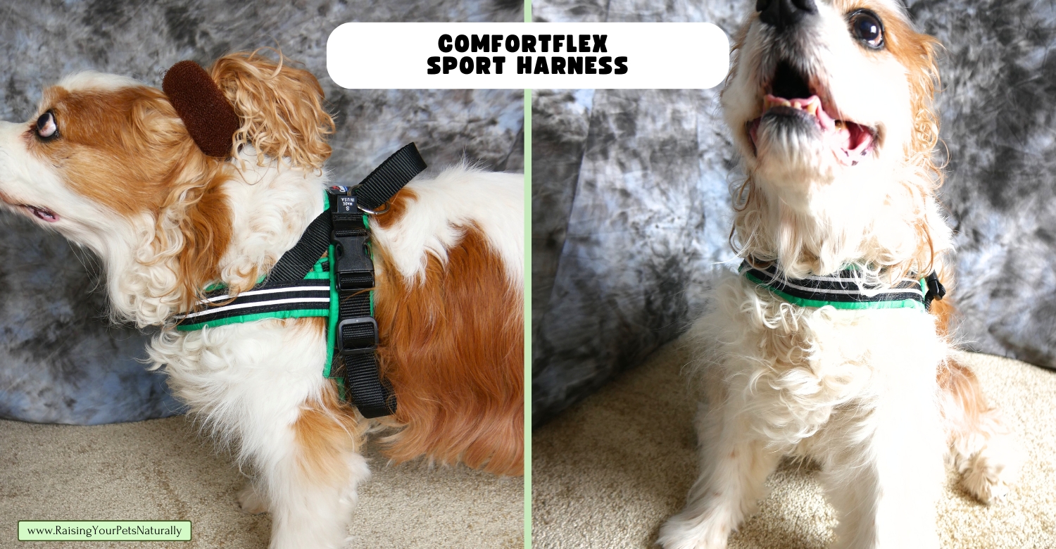 Padded harness for dogs