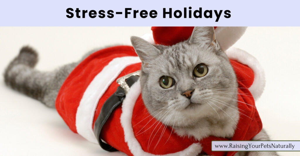 Holiday planning with pets