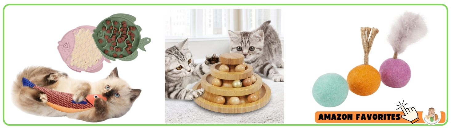 The best cat and kitten toys